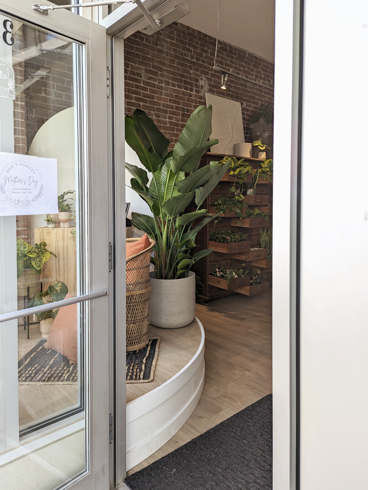 a local boutique that sells plants and pots (far and wide kamloops)