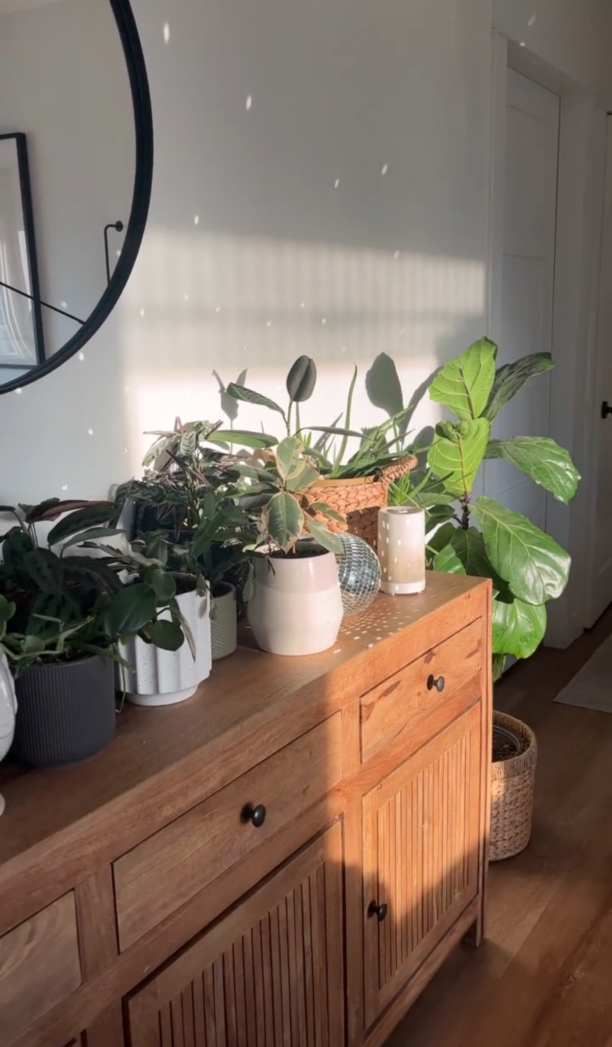 image shows wooden console table full of potted plants, disco ball is catching sunlight and casting dots on the ceiling.