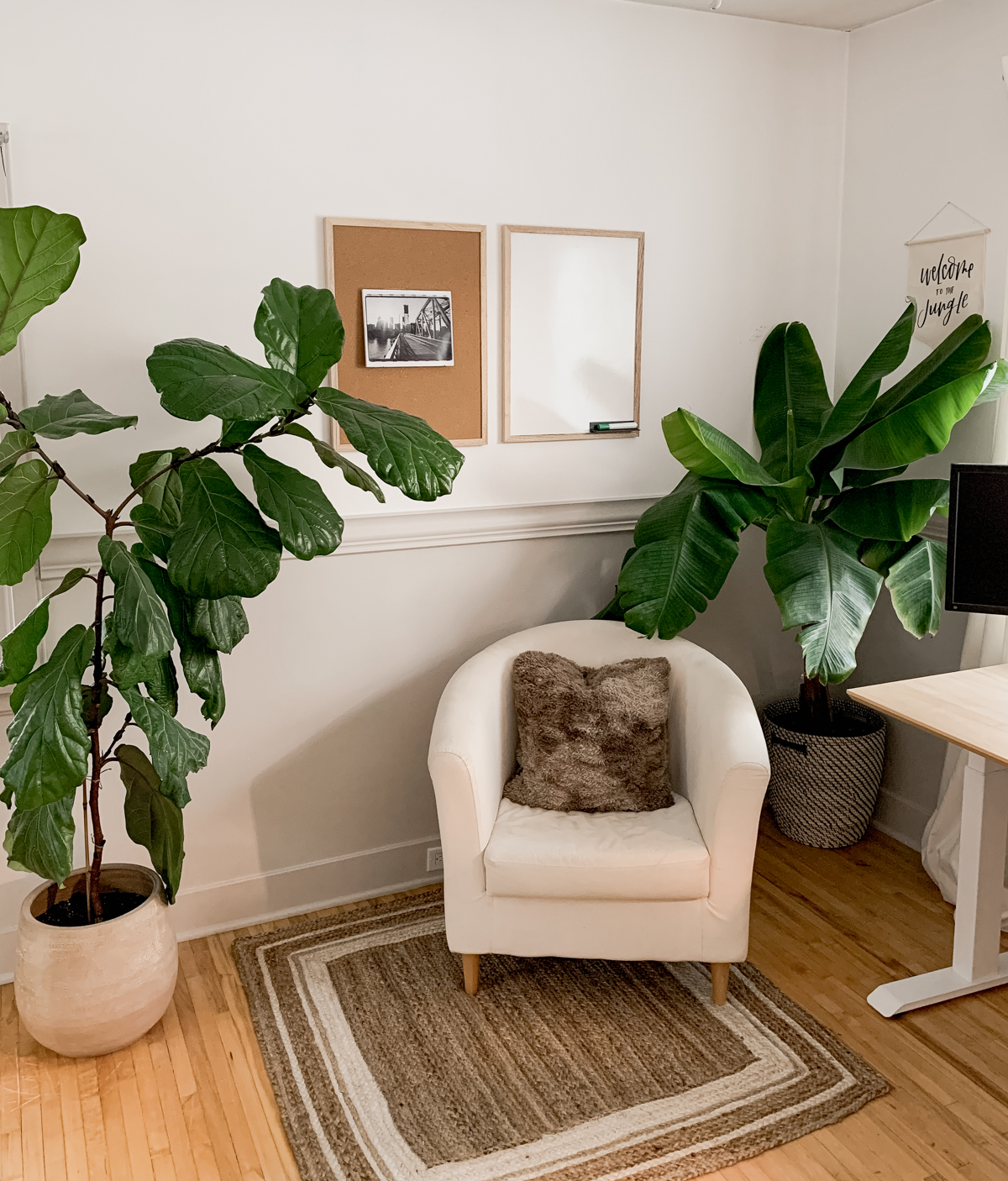 banana leaf plant and fiddle leaf fig shown in a white and cream home office space