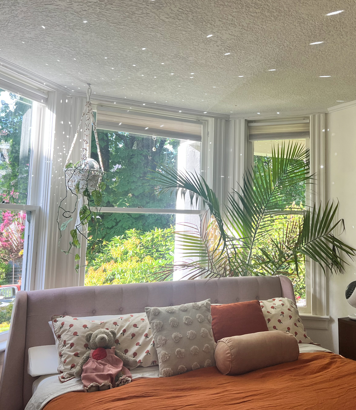 image shows palm potted plant behind an upholstered head board in a bay window of a bedroom. bed features pink and orange bedding and a disco ball casts dots on the ceiling