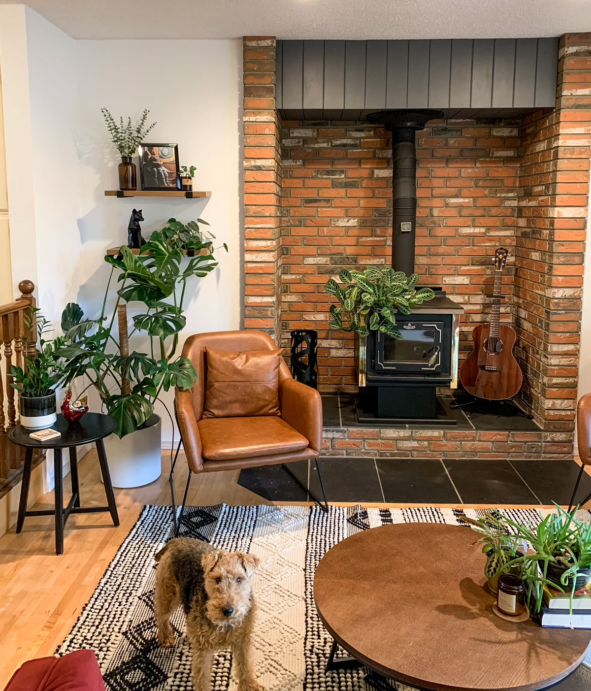 Living room full of indoor plants for warmth and texture. features of the space include brick fireplace surround, knotted rug, round walnut coffee table and leather chair side table
