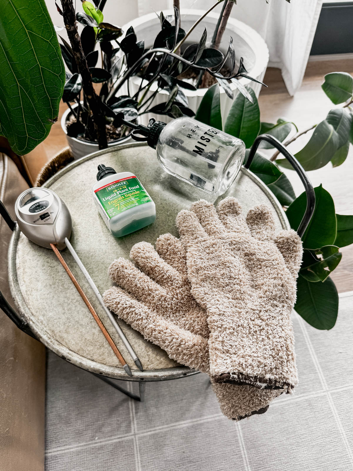 Basic indoor plant care tools that will help your indoor jungle thrive!