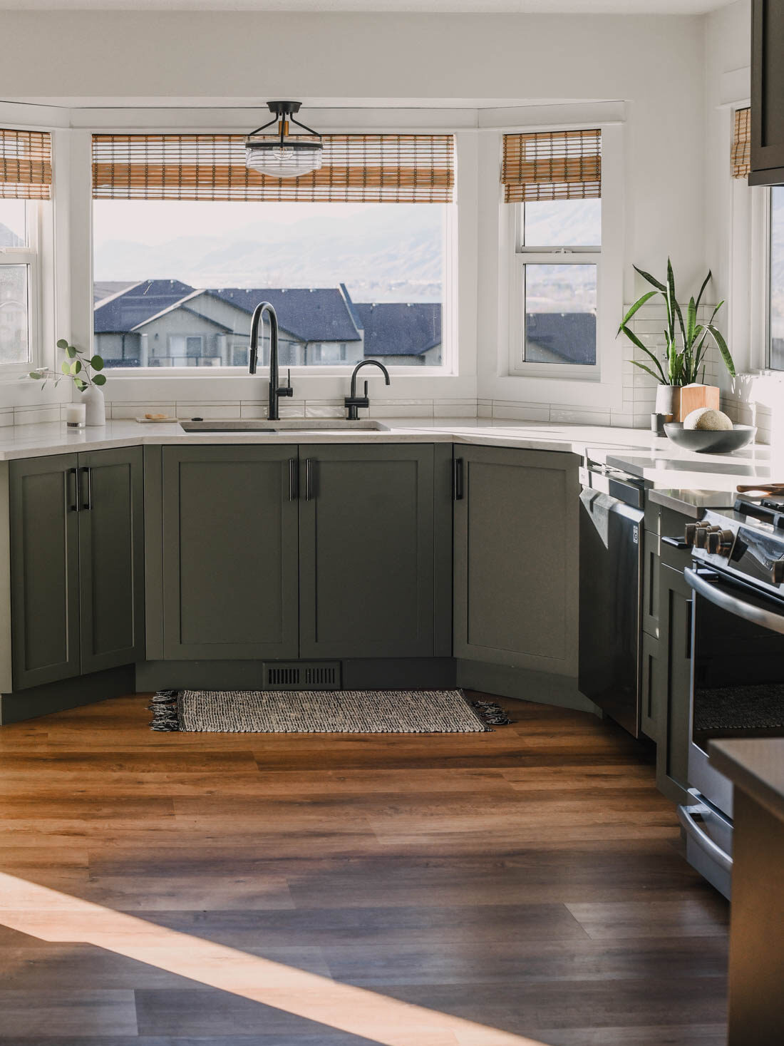 small snake plant on a kitchen counter with sun pouring in